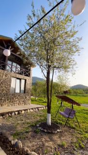 Villa Mzetamze - Borjomi - 3