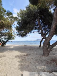 Studio cabine climatisé sur le port de Mèze - Mèze - 5