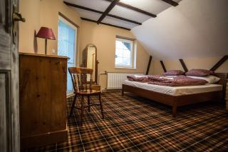 Cactus Snežienka - 9