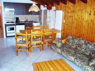 Mayens de l'Ours CZ 013 - MOUNTAIN apartment 8 per - Agettes - 1
