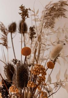 Baileys Beach House - 5