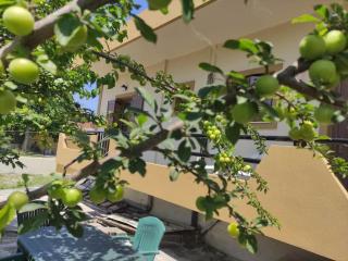 Anastasia's house - 1