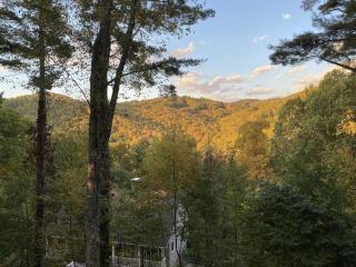 High Country Hideaway - Valle Crucis - 9