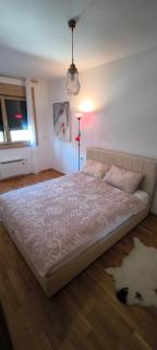 Mountain Pine Apartments & Spa - Zlatibor - Zlatibor - 3
