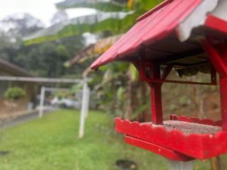 Bela Vista Hospedagem - Joinville - 1