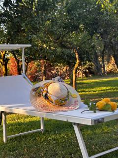 Lemon Factor Sorrento - Sorrento - 0