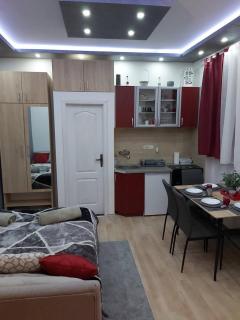 Apartman Ambijent Zlatibor - Zlatibor - 9