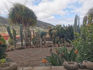 Los Cactus - Santa Cruz de Tenerife - 3