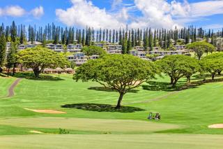 Kapalua Golf Villa 23T 45 - 4