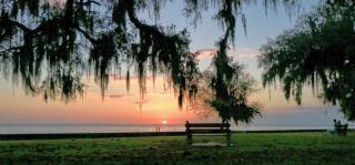 Guesthouse on Girod - 4