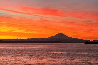 Rainier View Beach House - 9