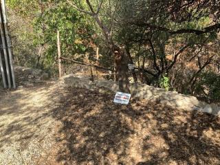 Ryder's Ridge - Concan - 2