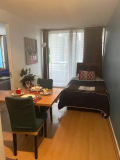 Apartment Relocation San Isidro - Santiago - 8