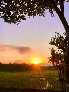 Kasuari villa - Penginyahan - 1