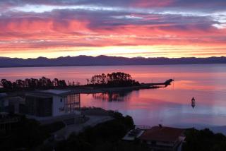 Ocean Dreaming - Nelson Waterfront - 8