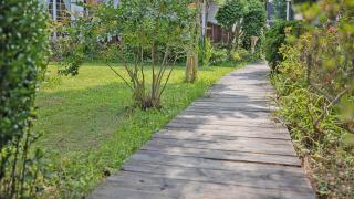 Anmyeondo Tamarind Pension - Taean - 6