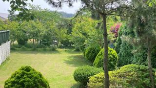 Anmyeondo Tamarind Pension - Taean - 4