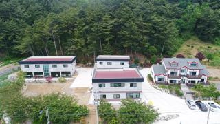 Uljin Blue Ara B pension - Uljin - 2