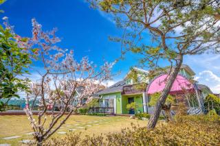 Daebudo polaris pension - Ansan - 7