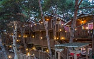 Hoengseong Pine Bell Pension - Hoengsong - 0