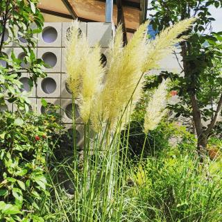 Chuncheon Onda Poolvilla - 3