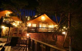 Hoengseong Cabin Town Pension - Hoengsong - 3