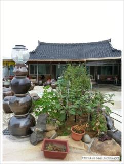 Najoo sunflowerstay - 9