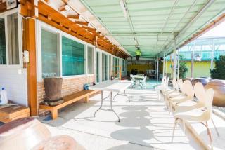 Najoo sunflowerstay - 3