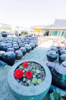 Najoo sunflowerstay - 1