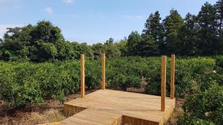 Slowing Slowing Stay - 2