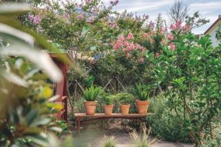 Jeju Samdal Gaok - 2