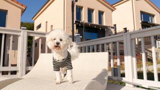 Taean Anmyeondo May Newly Built Private House Gaestar Pension - 2