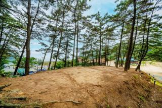 Bakripo Badawa Padosori Camping pension - Taean - 9