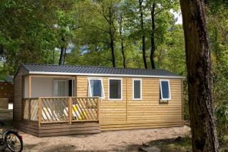 Bospark De Brenkberg - Schinveld - 9