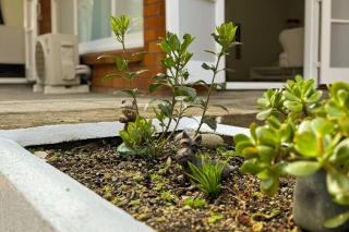 Exquisite Four-Bedroom Home in Forrest Hill - 8
