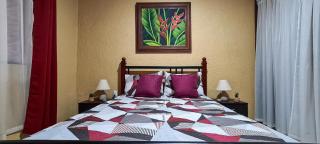 Cozy 3 Bedroom House 5mins from the Airport - 2