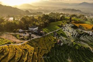 Teras Bumi Sikabu - Situjuhbatul - 2