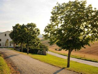 Spacious country house with swimming pool - 8
