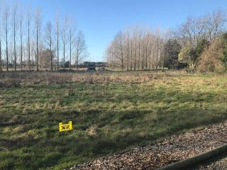 Brookside Country Escape 40 minutes to CHC Airport - Leeston - 1