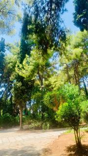 Kostas Athens Residence - Athen - 9