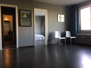 Cozy central 3 room apartament - 0