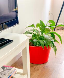 Appartement familial à la Gironde ! - Casablanca - 7