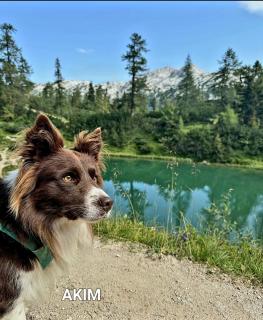 Ferienhaus Jordi & Lara by Appartementhaus Theresia - 4