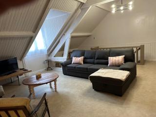 Le Clos André - 3 étoiles - maison climatisée - Chambord - Thoury - 1