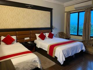 The Narayani Resort - 3