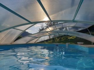 Chalet Bois Cosy - Climatisé - Piscine privée - Ferdrupt - 2