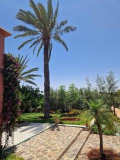 Villa Palmengarten Meknès bei Fes - Meknes - 9