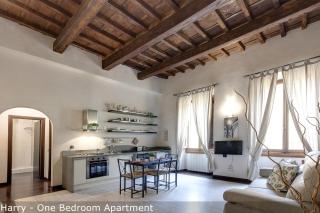 Calzaiuoli Apartments by Mamo Florence - Florence - 5