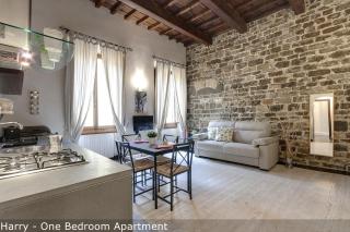 Calzaiuoli Apartments by Mamo Florence - Florence - 9