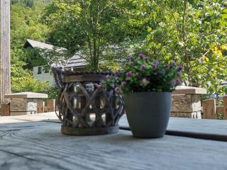 Apartma Bohinj - Bohinj - 8